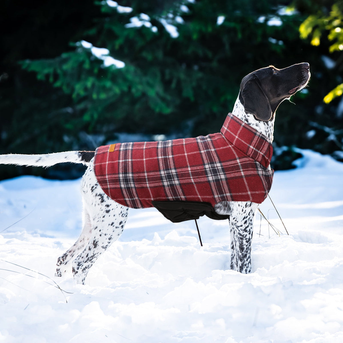 Kuoser Reversible Dog Coat Adjustable British Style Plaid Pet Jacket, Waterproof and Windproof, Blue, M