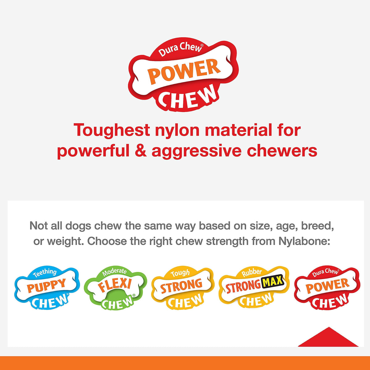 Nylabone Power Chew Toy Bundle, Cute Dog Toys for Aggressive Chewers, Filet Mignon, Cheese, and Bacon Flavors, Small Dogs - Up to 25 lbs, 3 Pack