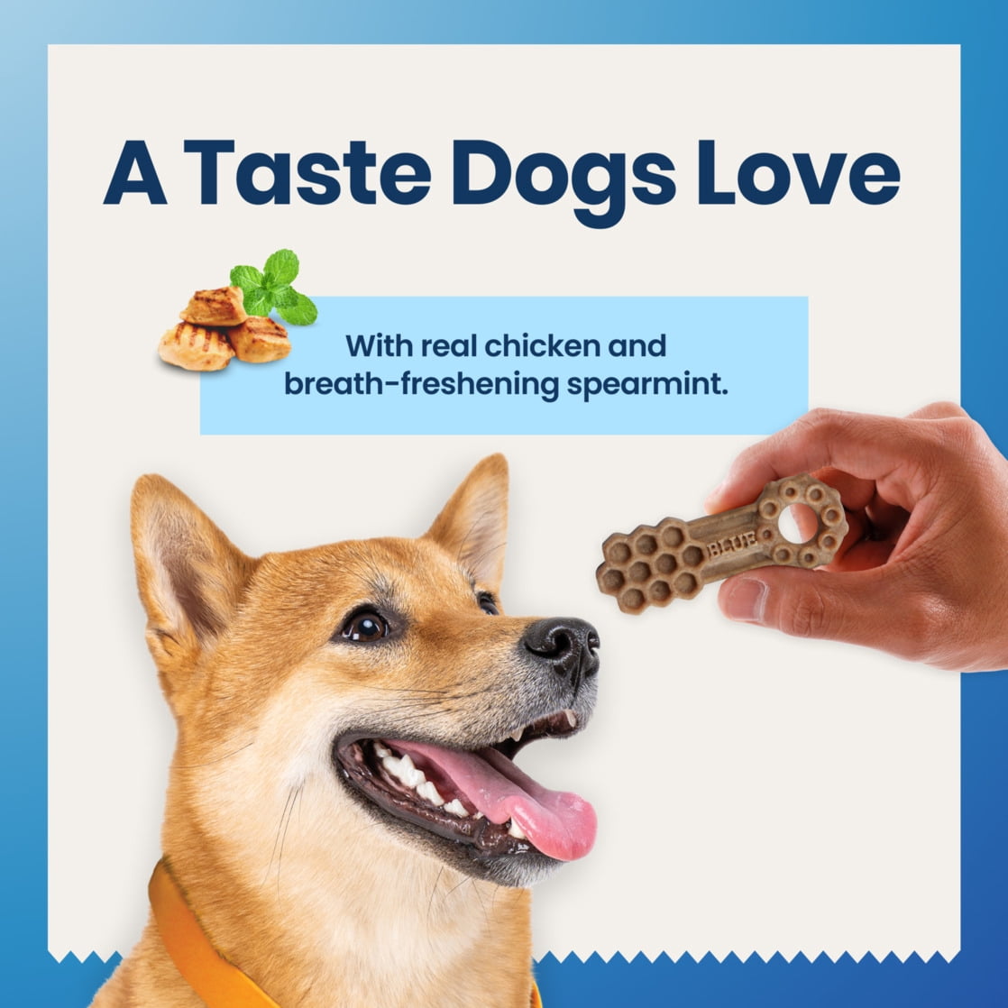Blue Buffalo Medium Dental Chews, Daily Dental Care Dog Treats, Chicken & Spearmint (14 Count)