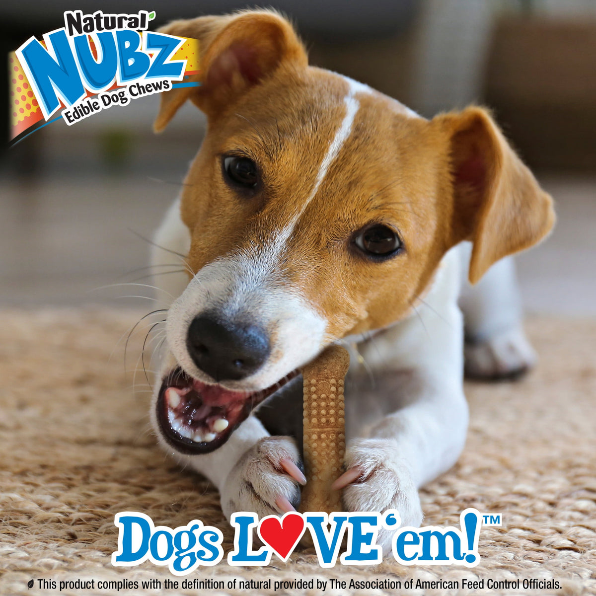 Nylabone Nubz Wild Dog Treats for Small Dogs, Bison Flavor Dog Bones, Small - Up to 25 lbs., 4 Count