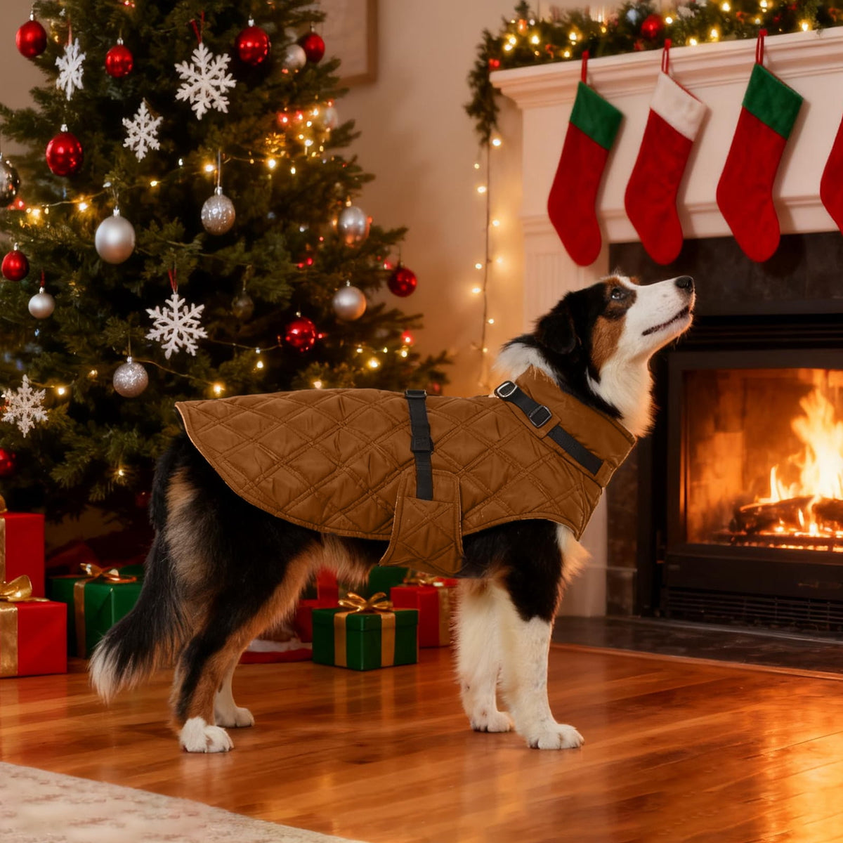 Kuoser Dog Winter Coat Warm Reflective Pet Jacket Waterproof Cold Weather Clothes for Dogs, Gray, M