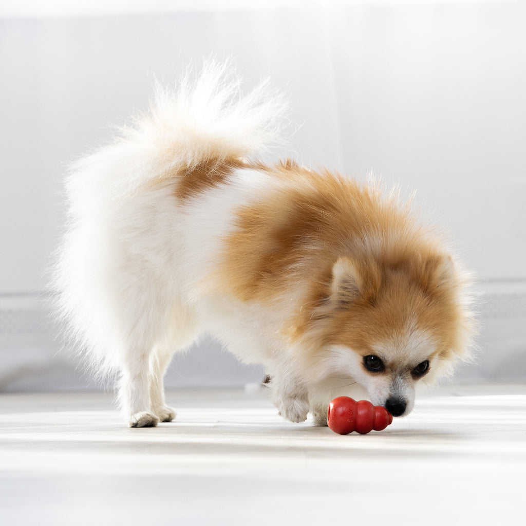 KONG® Classic Rubber Dog Toy for Average Chewers, Large, for Dogs Between 30-65 lbs