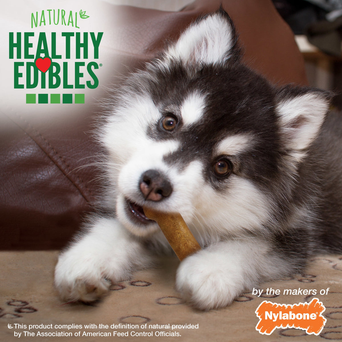 Nylabone Healthy Edibles Natural Puppy Treats, Training Treats for Puppies, Lamb & Apple Flavor Dog Treats, For Small Dogs (3 Count)