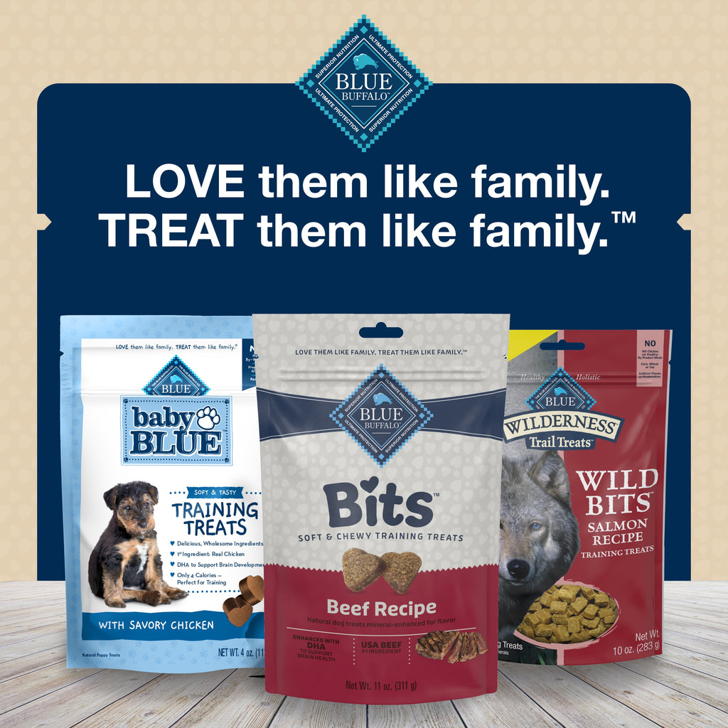 Blue Buffalo Bits Soft Dog Treats for Training, Made With Natural Ingredients & Enhanced with DHA, Beef Recipe, 19-oz Bag