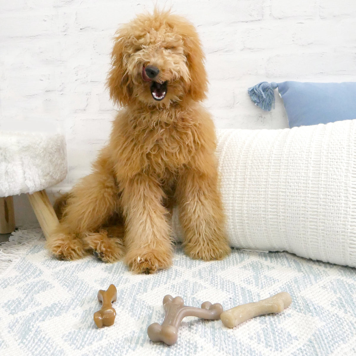 Nylabone Strong Chew Gourmet Style Femur Bone Dog Toy, Dog Chew Toy, Bacon & Chicken Flavor, Small, 2 Pack