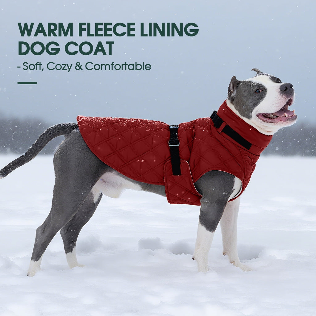 Kuoser Dog Winter Coat Warm Reflective Pet Jacket Waterproof Cold Weather Clothes for Dogs, Gray, M