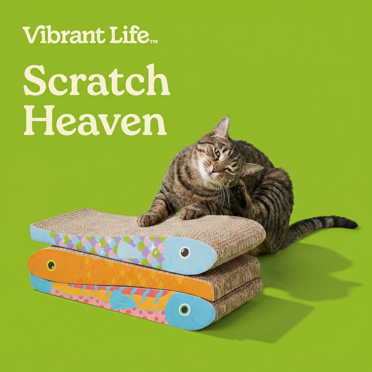 Vibrant Life Fish Cat Scratcher with Catnip, Multicolor, 3 Pack