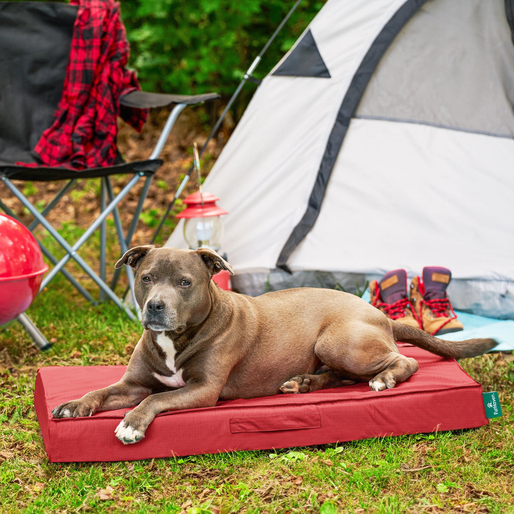 FurHaven Grid Indoor-Outdoor Cooling Memory Foam Deluxe Mattress for Dogs and Cats - Olivine, Medium