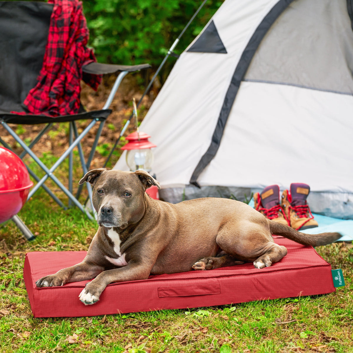FurHaven Grid Indoor-Outdoor Cooling Memory Foam Deluxe Mattress for Dogs and Cats - Olivine, Medium