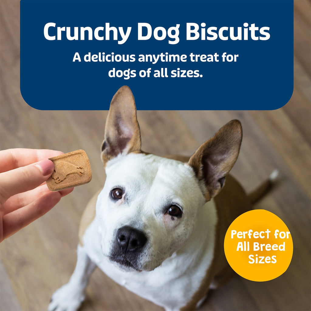 Blue Buffalo Health Bars Crunchy Dog Biscuits, Natural Dog Treats, Bananas & Yogurt 16 oz.