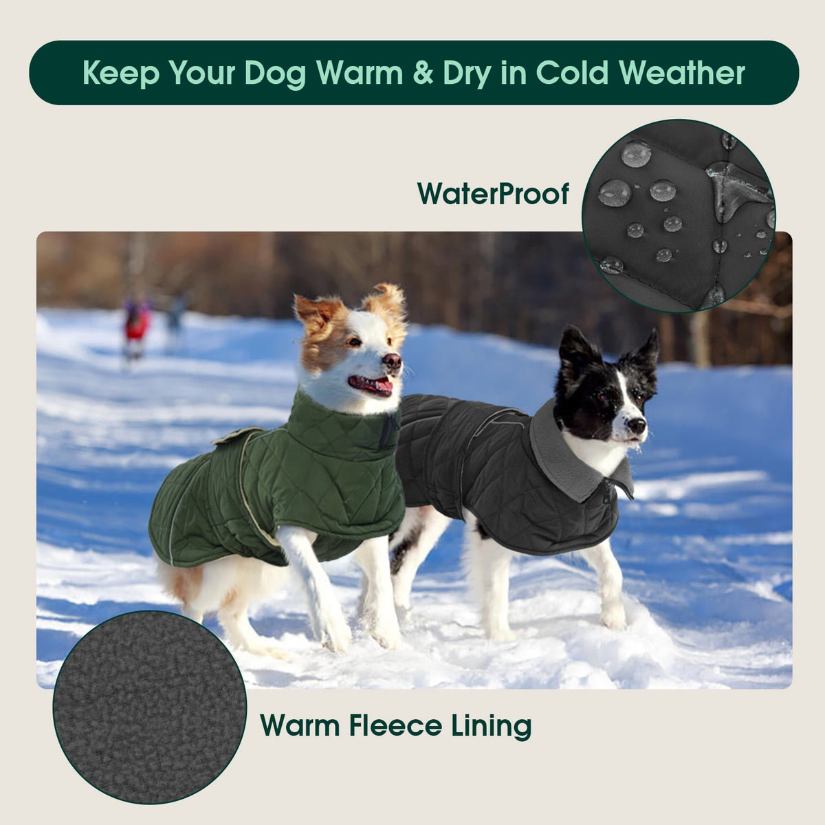 Kuoser Dog Coat Warm Dog Winter Jacket for Small Medium Large Dogs, Green, M