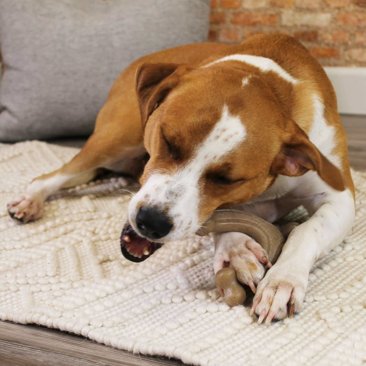 Nylabone Strong Chew Gourmet Style Wishbone Dog Toy, Dog Chew Toy, Peanut Butter Flavor, Large, 1 Count