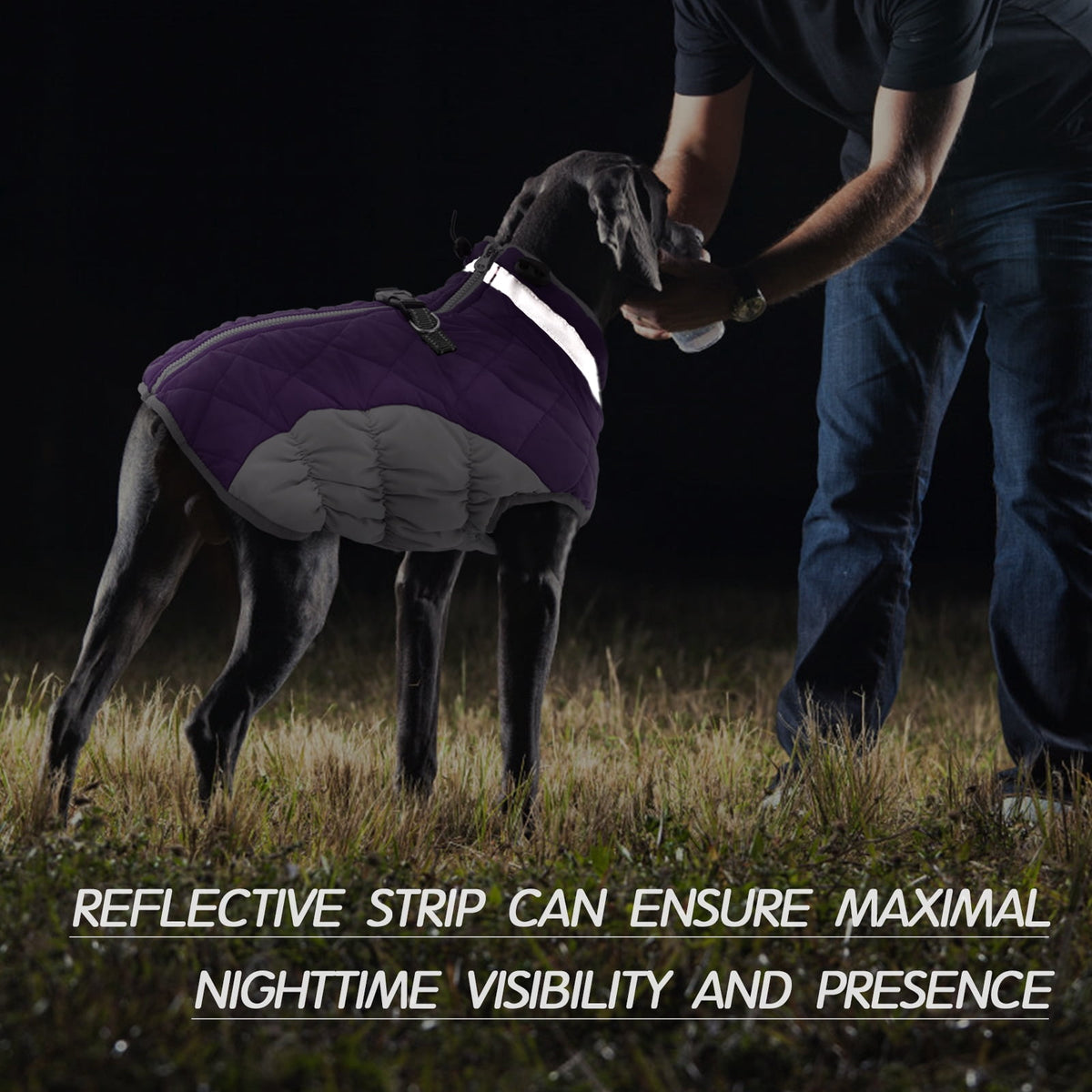 Kuoser Dog Winter Coat, Waterproof Windproof Fleece Padded Jacket with Reflective Trim and Leash Ring for Small Dogs, Purple, S