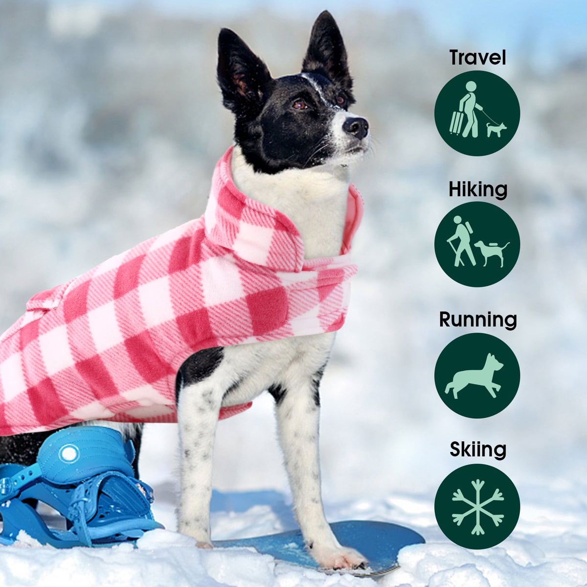 Kuoser British Style Plaid Dog Winter Coat, Windproof Cozy Cold Weather Jacket for Dogs, Blue, M