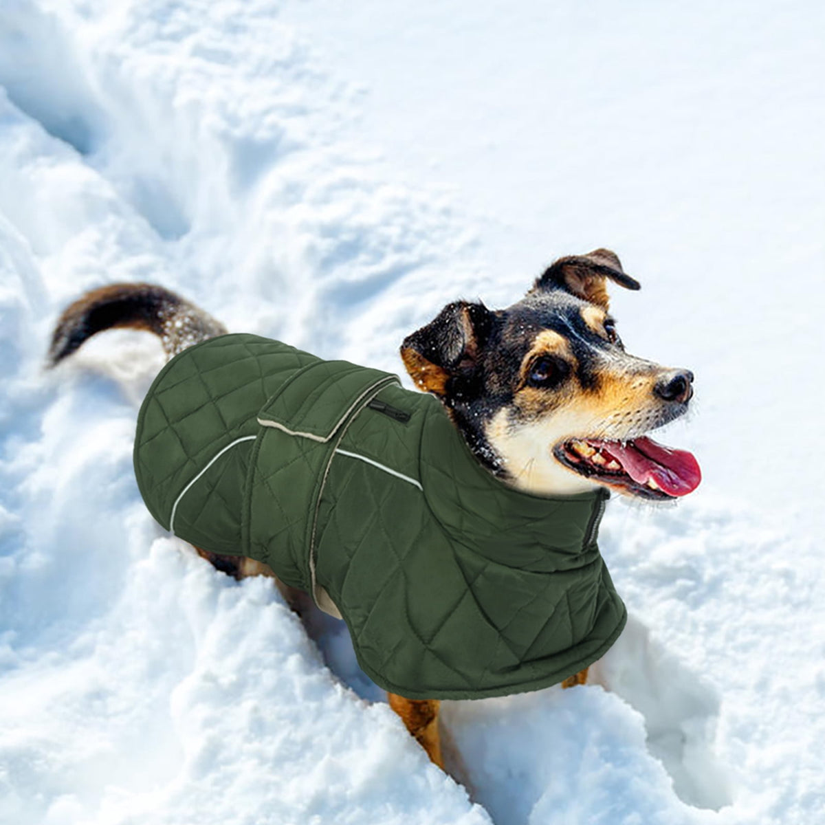 Kuoser Dog Coat Warm Dog Winter Jacket for Small Medium Large Dogs, Green, M