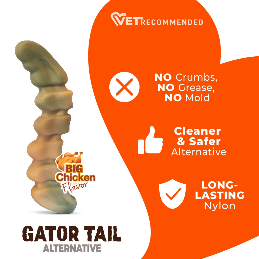 Nylabone Power Chew Gator Tail Alternative Dog Chew Toy Chicken Large (1 Count)