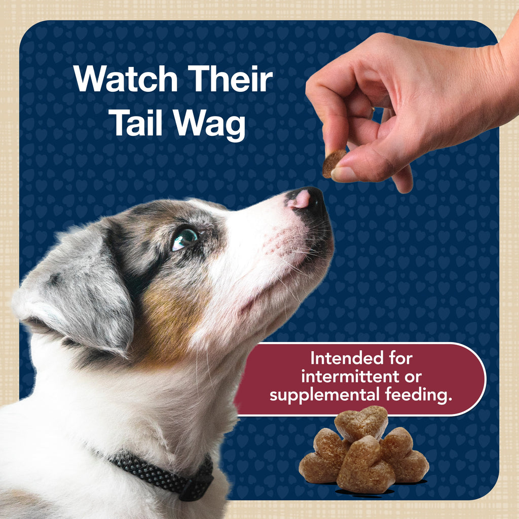Blue Buffalo Bits Soft Dog Treats for Training, Made With Natural Ingredients & Enhanced with DHA, Beef Recipe, 19-oz Bag