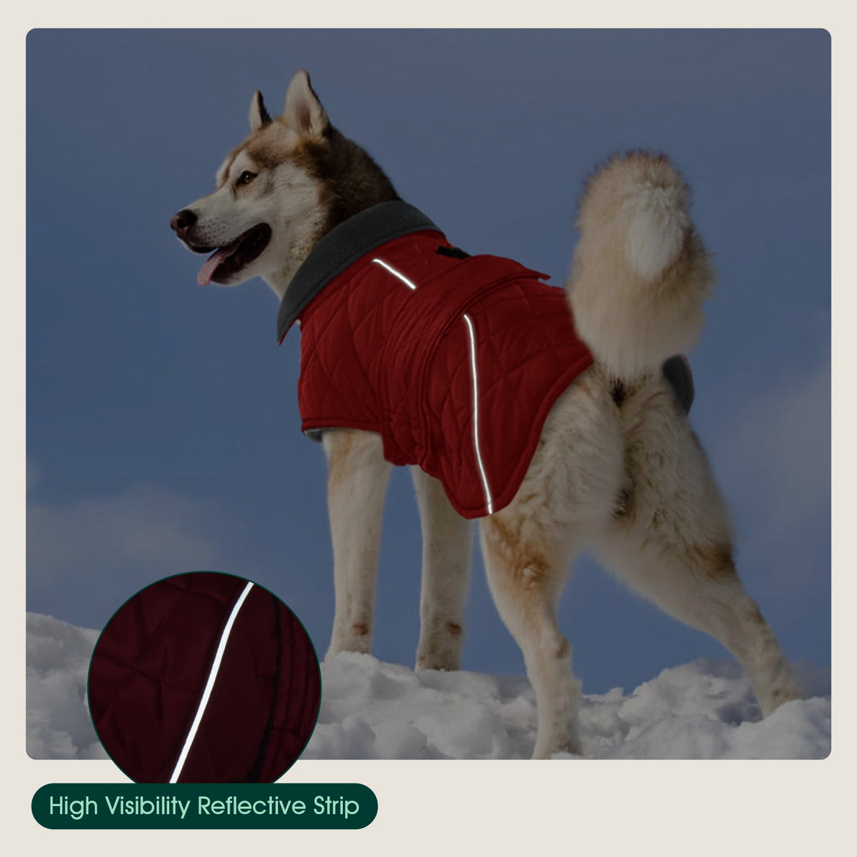 Kuoser Dog Coat Warm Dog Winter Jacket for Small Medium Large Dogs, Green, M