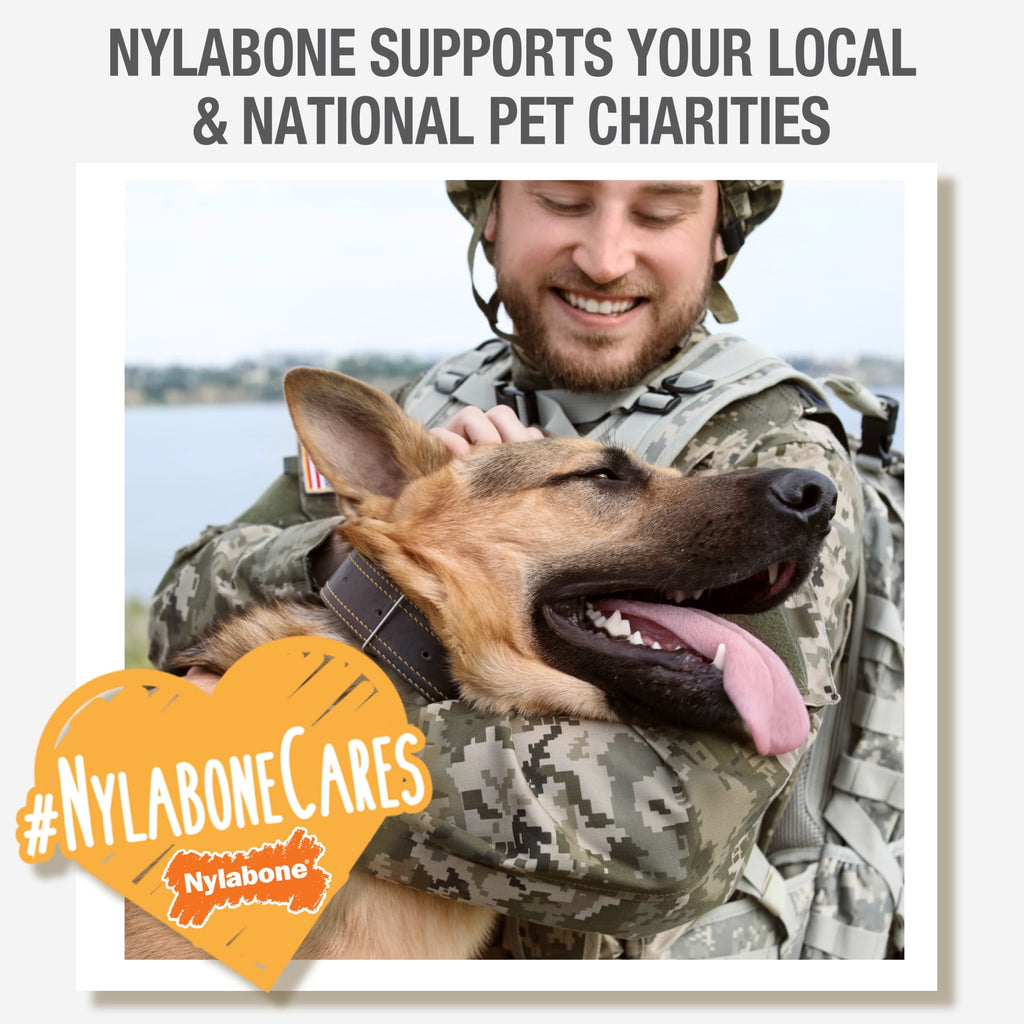 Nylabone Power Chew Antler Alternative Dog Chew Toy Venison Medium (1 Count)