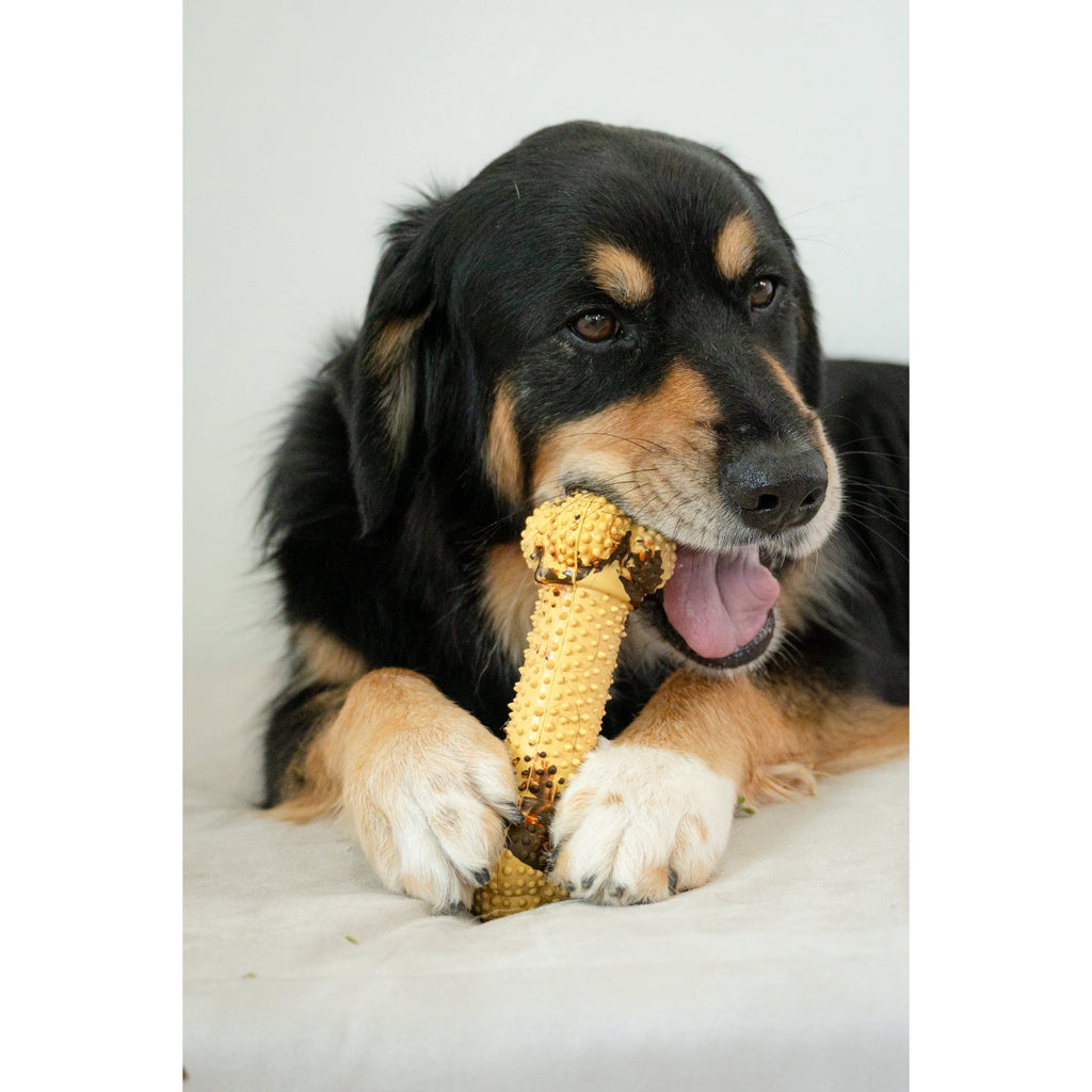 Nylabone Strong Chew Double Action Bone Dog Toy, Dog Chew Toy, Steak & Potato Flavor, Large, 1 Count
