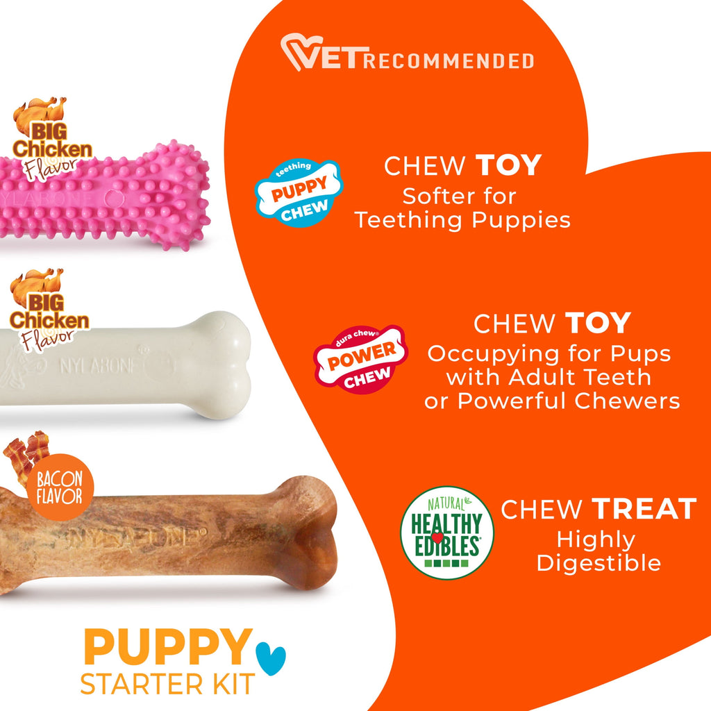 Nylabone Puppy Toys, Dog Teething Toys & Dog Treats, Variety Flavor, Small, 3 pack