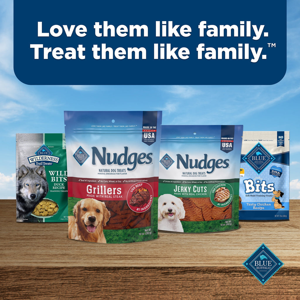 Blue Buffalo Nudges Homestyle Natural Dog Treats Made with Real Chicken, 16-oz. Bag