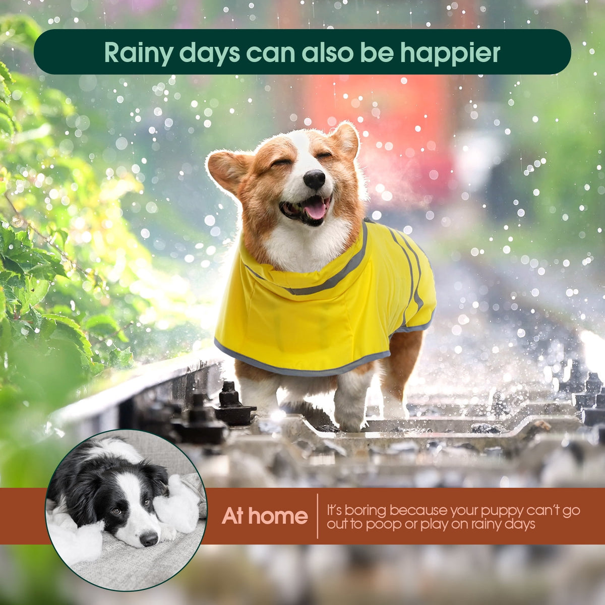 Kuoser Dog Raincoat Waterproof Rain Jacket with Reflective Stripes for Dogs, Yellow, M