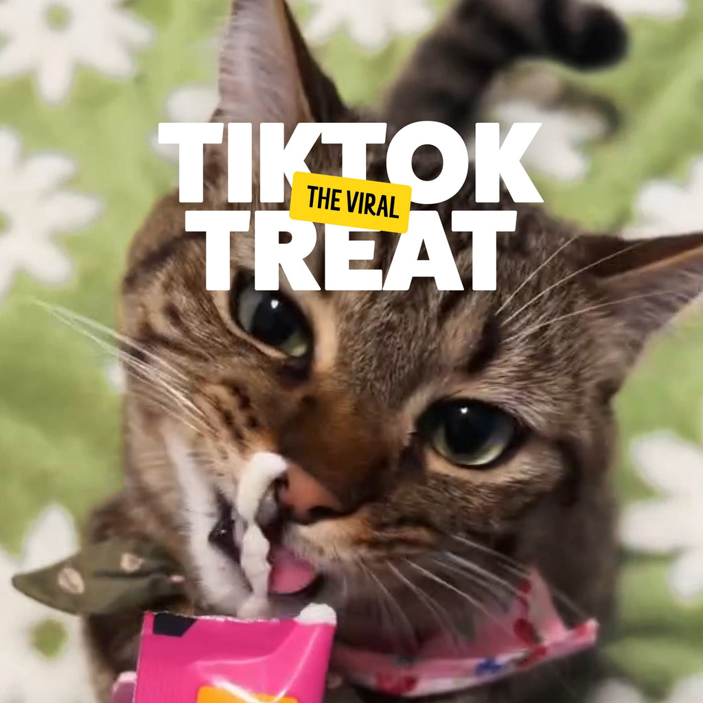 BONKERS Licky Tubes Chicken, Salmon, and Tuna Flavored Wet Cat Treats, 20 Pieces