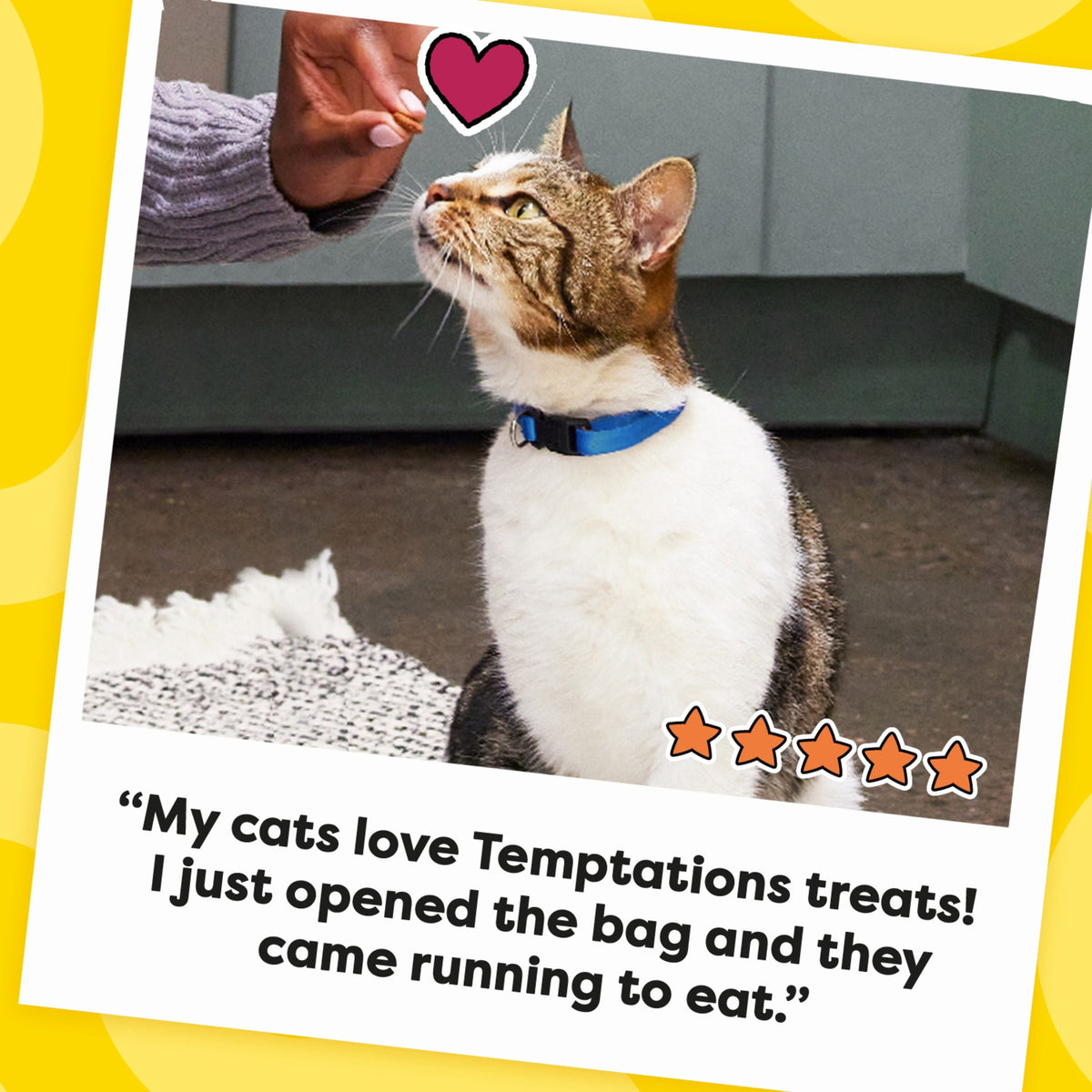 Temptations Mixups Catmas Casserole Catnip Fever Flavor Crunchy and Soft Treats for Cats, 16 oz Tub