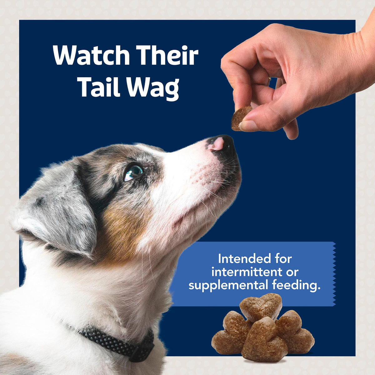 Blue Buffalo Jumbo Bits Chicken Recipe, Soft & Chewy Natural Dog Treats, 11 oz. Bag