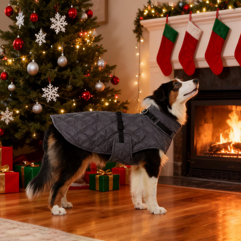 Kuoser Dog Winter Coat Warm Reflective Pet Jacket Waterproof Cold Weather Clothes for Dogs, Gray, M