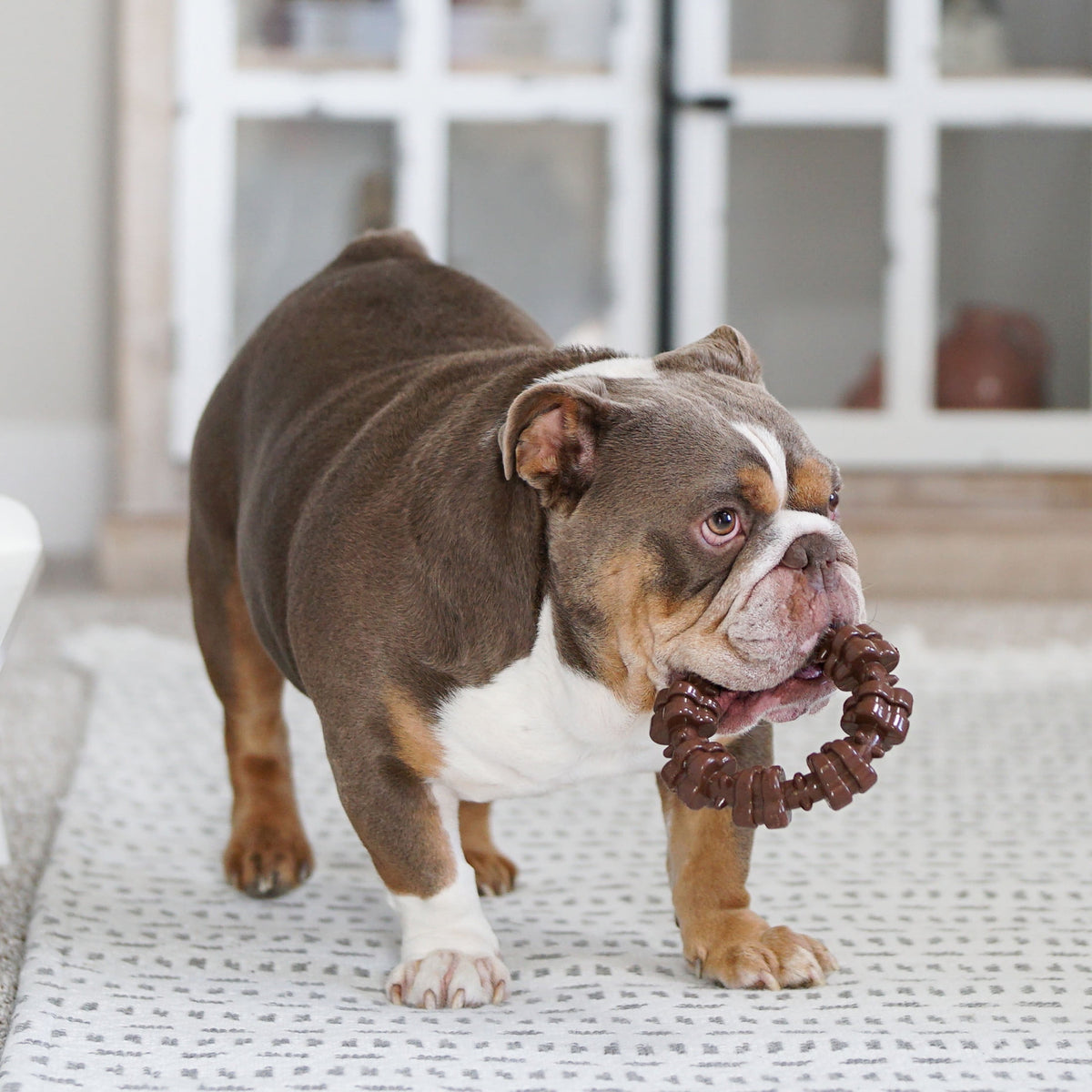 Nylabone Textured Ring Power Chew Toy For X-Large Dogs 50+ Lbs, Chew Toy For X-Large Dogs