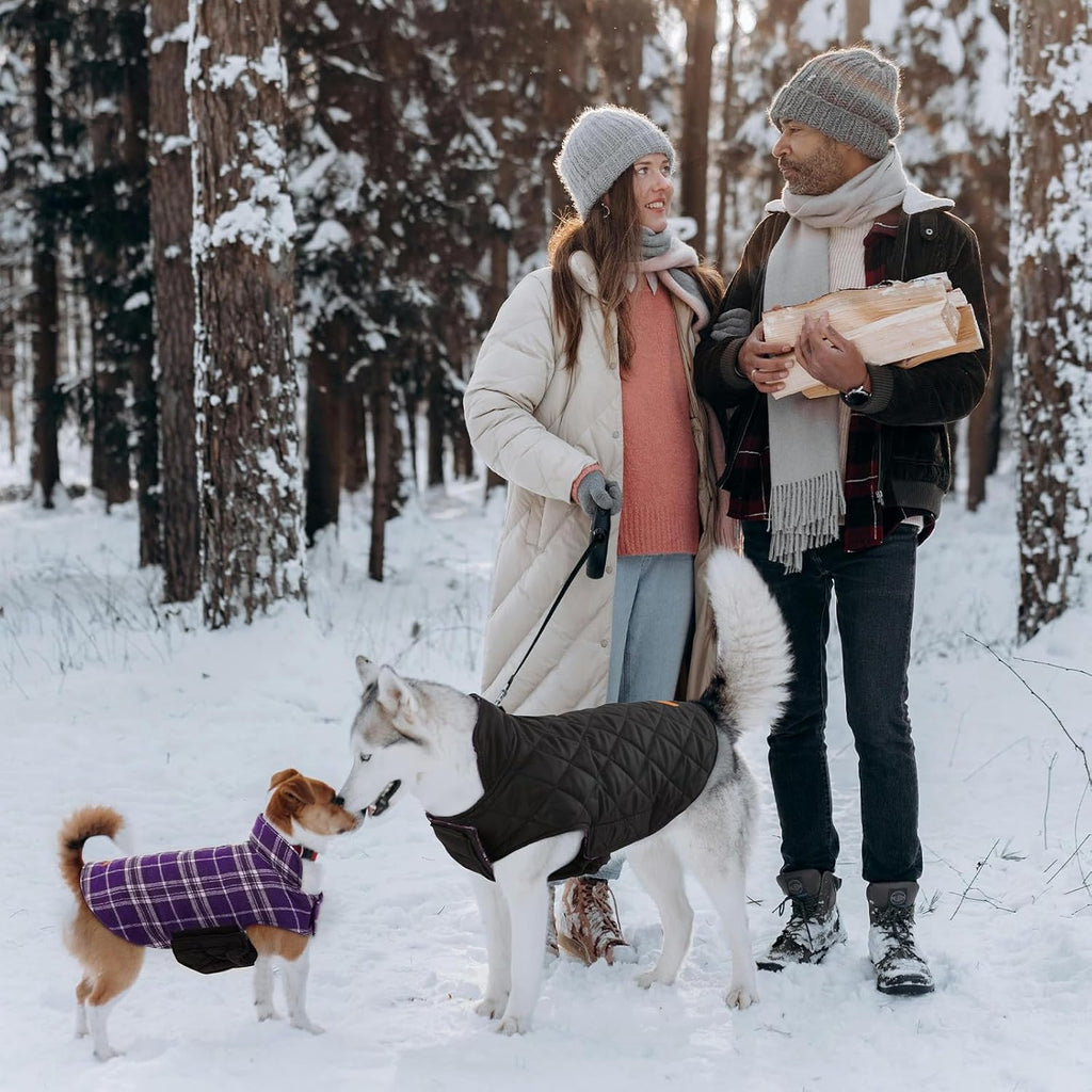 Kuoser Reversible Dog Coat Adjustable British Style Plaid Pet Jacket, Waterproof and Windproof, Blue, M