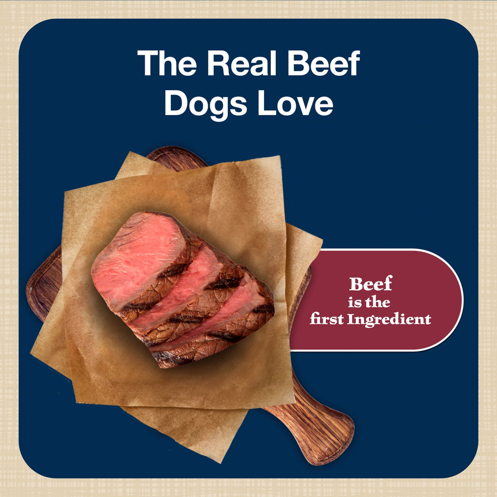 Blue Buffalo Bits Soft Dog Treats for Training, Made With Natural Ingredients & Enhanced with DHA, Beef Recipe, 19-oz Bag