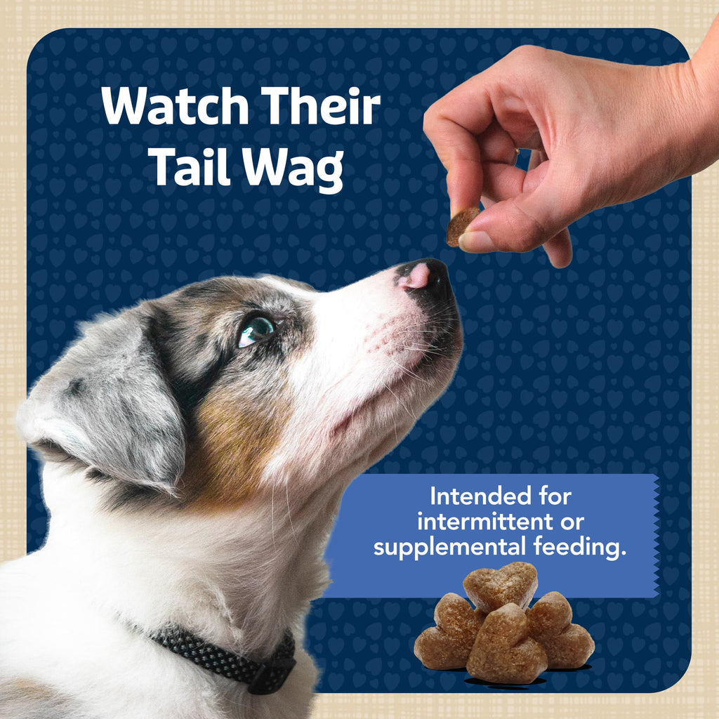 Blue Buffalo Bits Soft Dog Treats for Training, Enhanced with DHA, 19-oz. Bag
