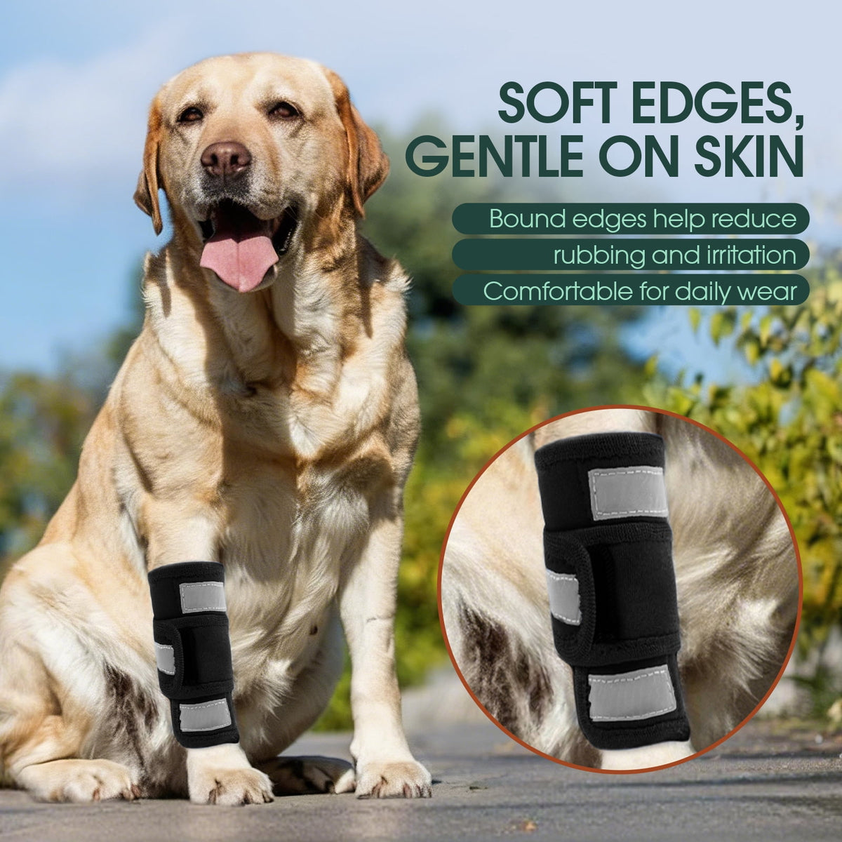 Kuoser Dog Front Leg Brace – Adjustable Carpal Support Wrap for Canine Joint, Wound Recovery & Anti-Licking Sleeve, Black, S/M