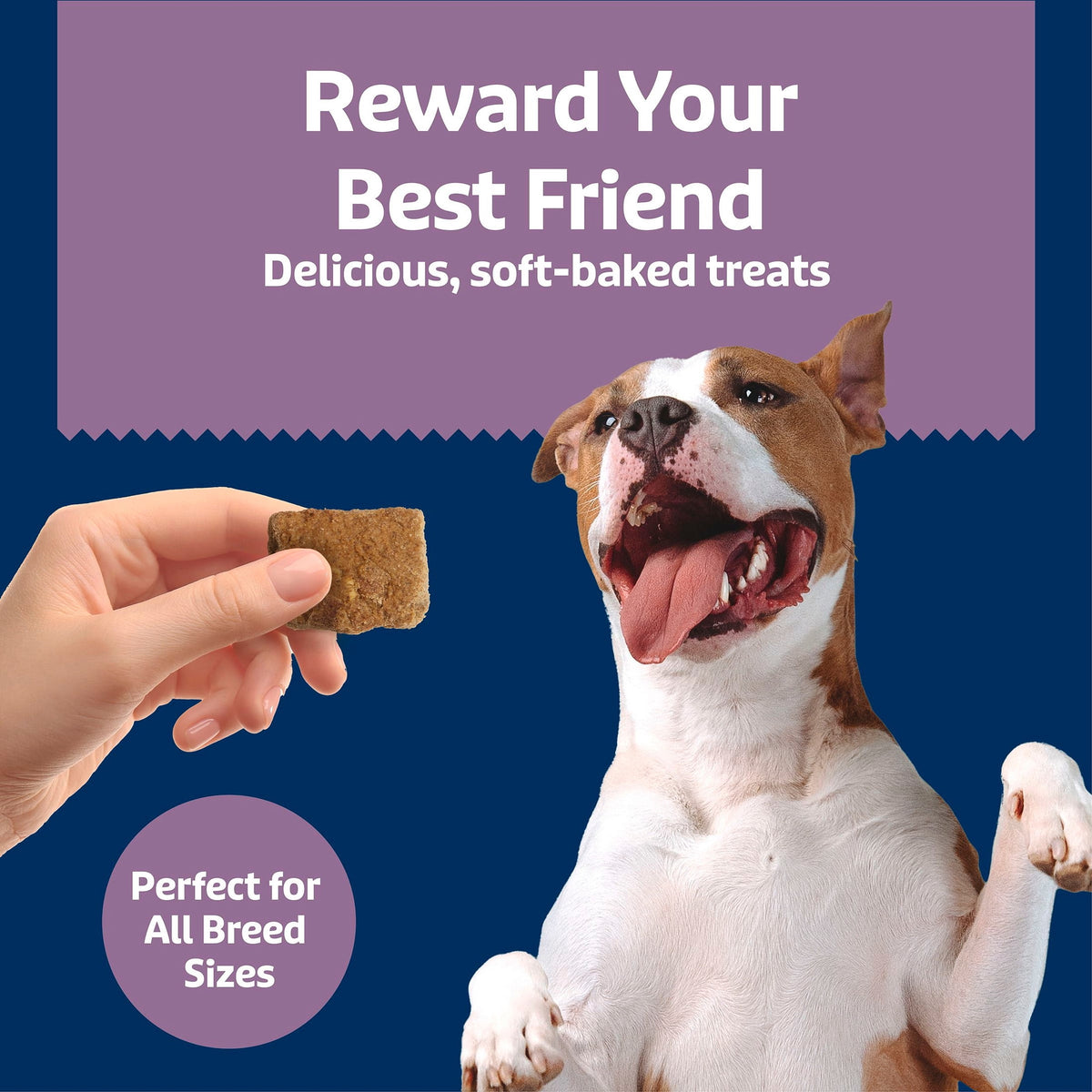 Blue Buffalo Soft & Chewy Health Bars Baked with Real Chicken & Mixed Berries, 9 oz. Bag