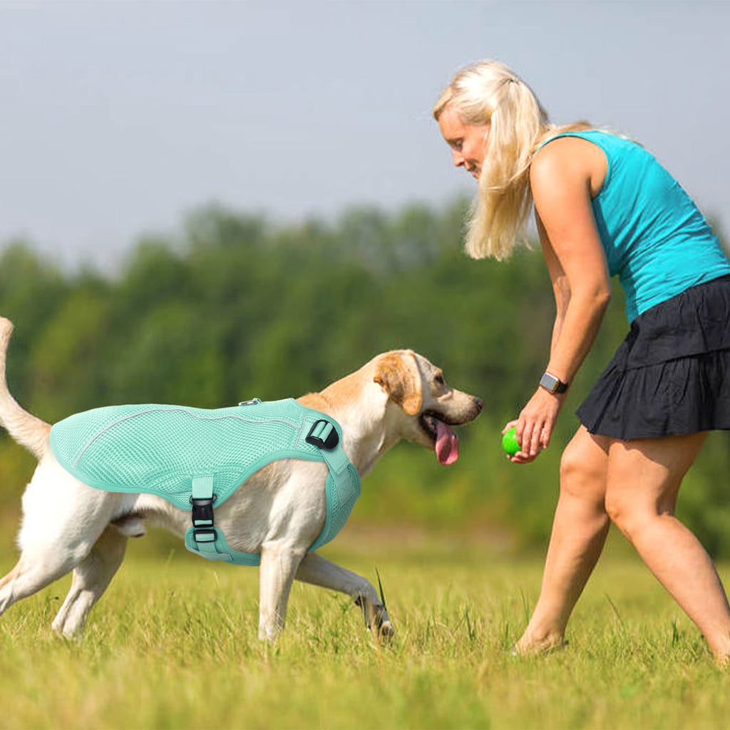 Kuoser Dog Cooling Vest, Breathable Mesh Ice Vest for Dogs, Cooling Jacket for Pet, Blue, extra large