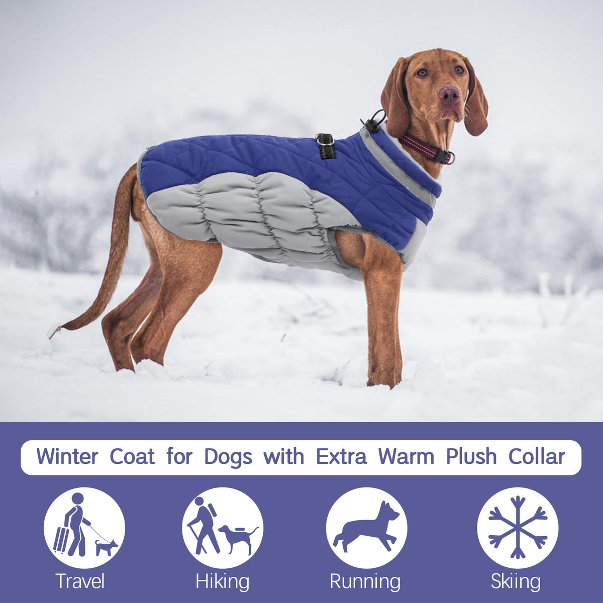 Kuoser Dog Winter Coat, Waterproof Windproof Fleece Padded Jacket with Reflective Trim and Leash Ring for Small Dogs, Purple, S