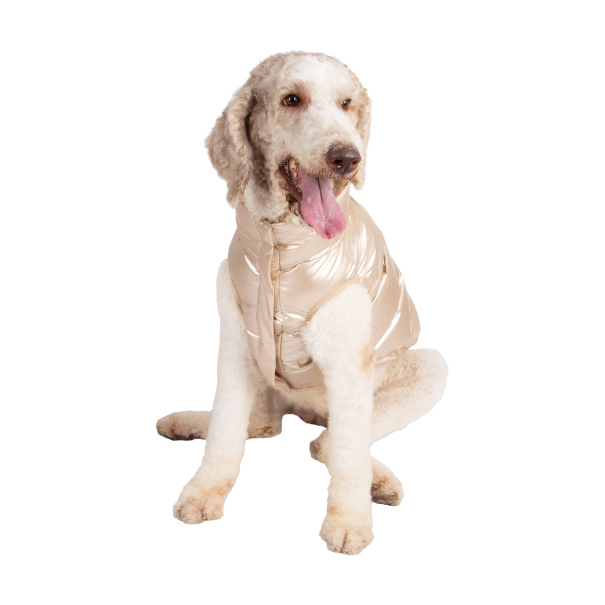 Oodles Quilted Fall Puffer Dog Jacket, Pink, Small