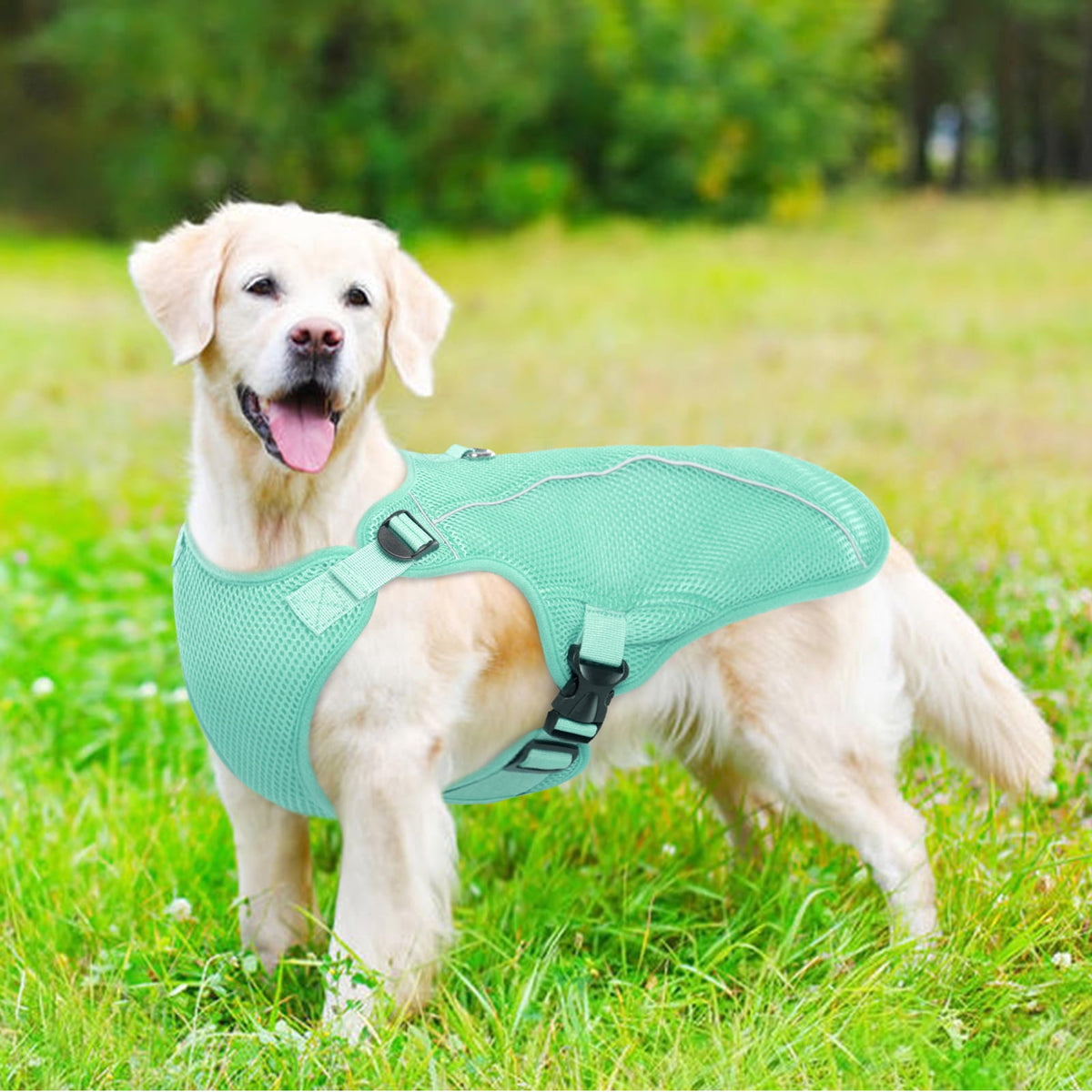 Kuoser Dog Cooling Vest, Breathable Mesh Ice Vest for Dogs, Cooling Jacket for Pet, Blue, extra large