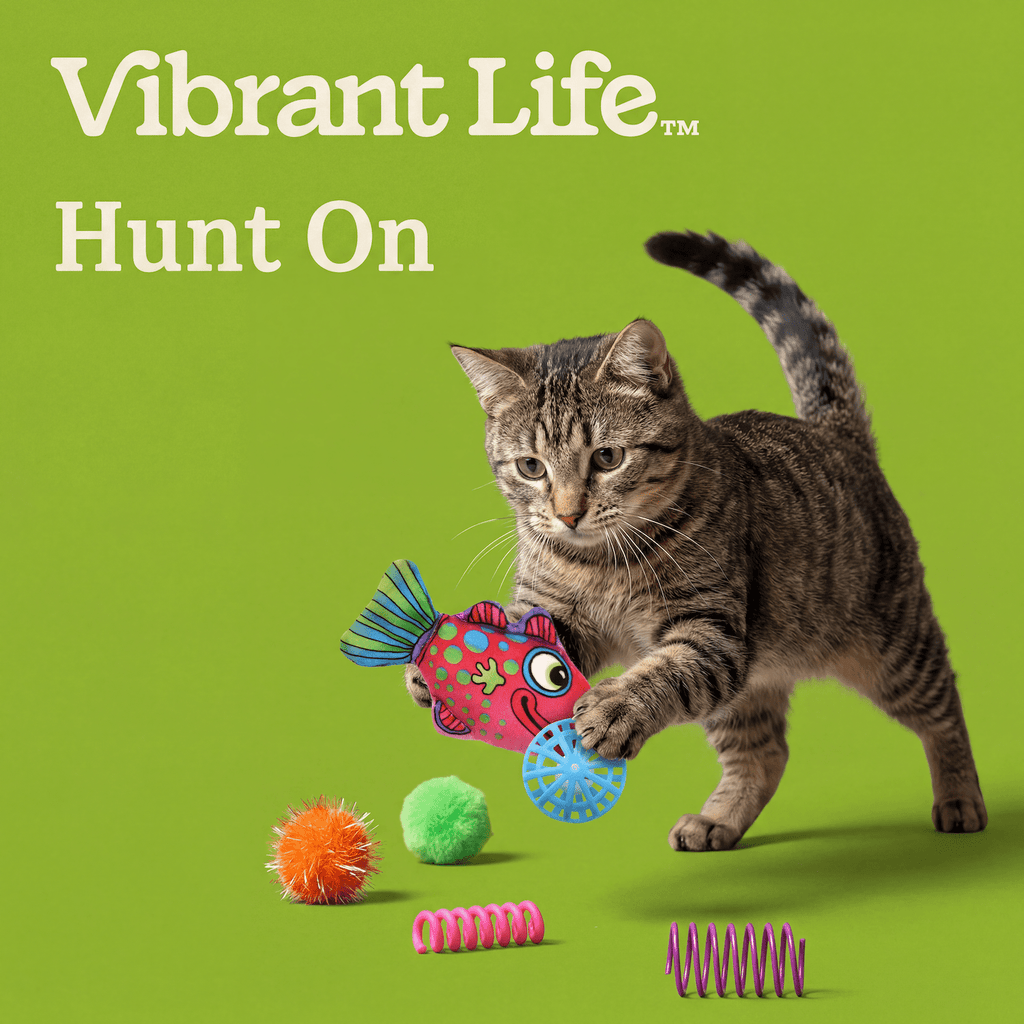 Vibrant Life Value Pack Cat Toys, 24 Pieces