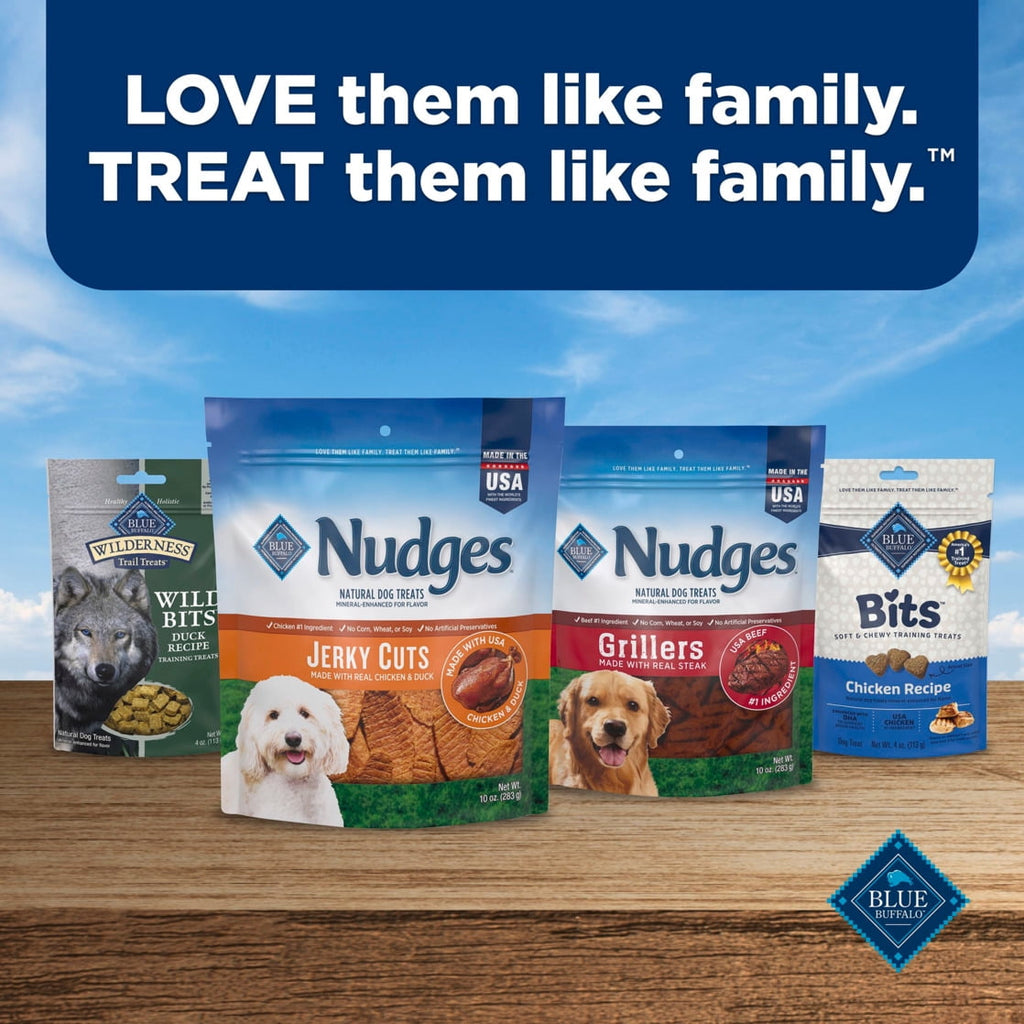Blue Buffalo Nudges Jerky Cuts Dog Treats, Made in the USA with Natural Ingredients, Chicken, 5-oz. Bag