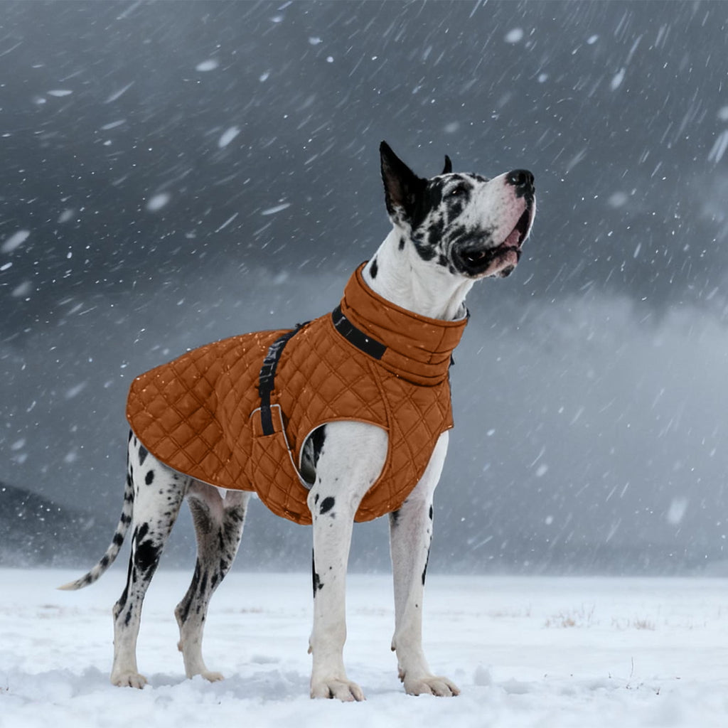 Kuoser Dog Winter Coat Warm Reflective Pet Jacket Waterproof Cold Weather Clothes for Dogs, Gray, M