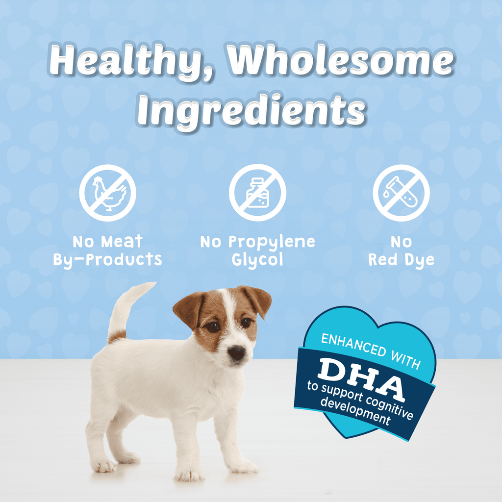 Blue Buffalo Bits Soft Dog Treats for Training, Enhanced with DHA, 19-oz. Bag