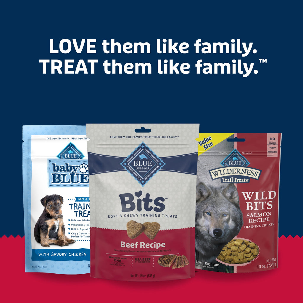Blue Buffalo Bits Soft Dog Treats for Training, Made With Natural Ingredients & Enhanced with DHA, Beef Recipe, 19-oz Bag