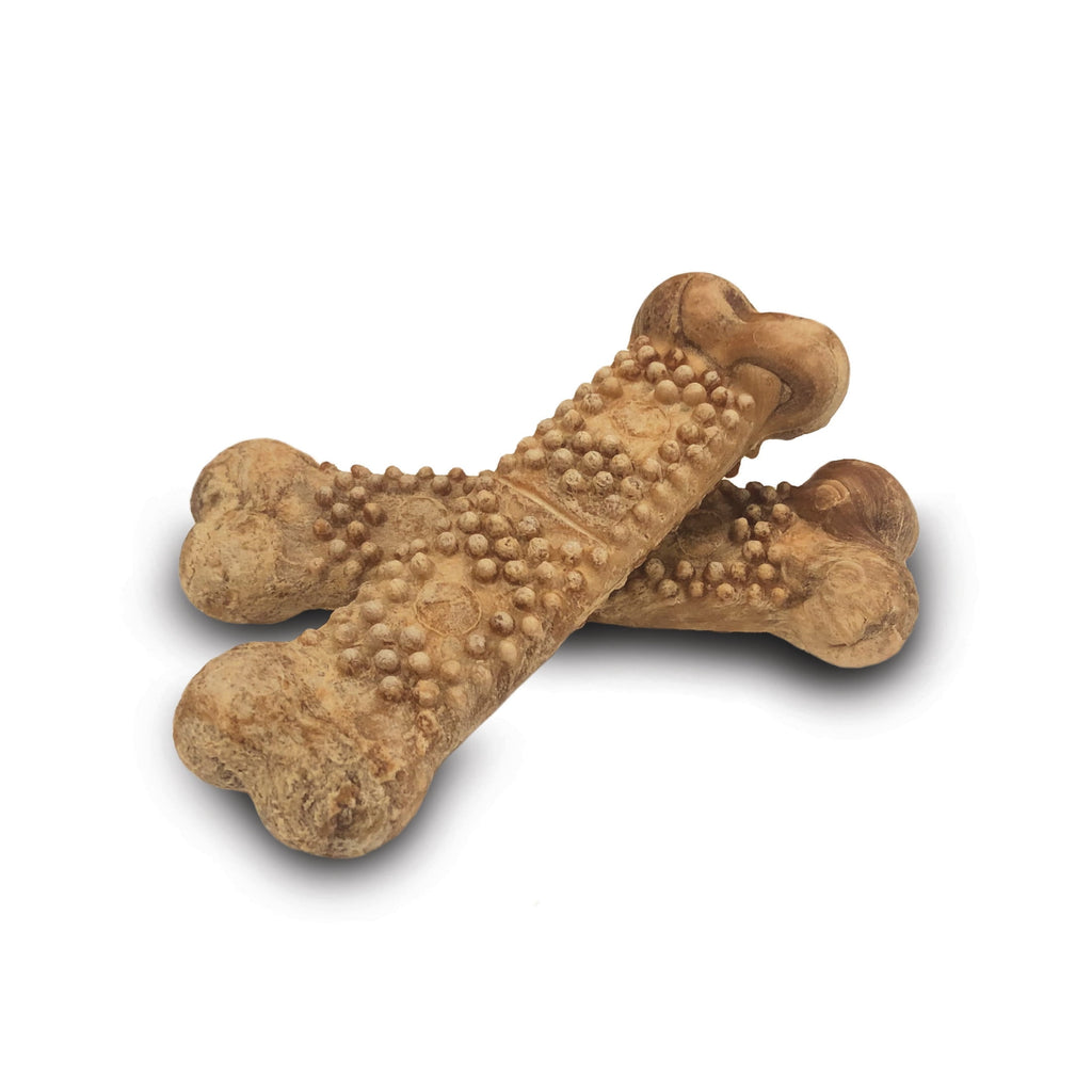 Nylabone Nubz Natural Dog Chew Treats, Chicken Flavor, Large