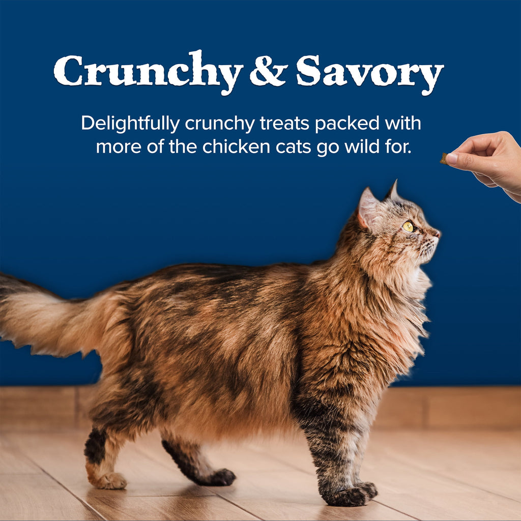 Wilderness Crunchy Cat Treats Chicken 12oz