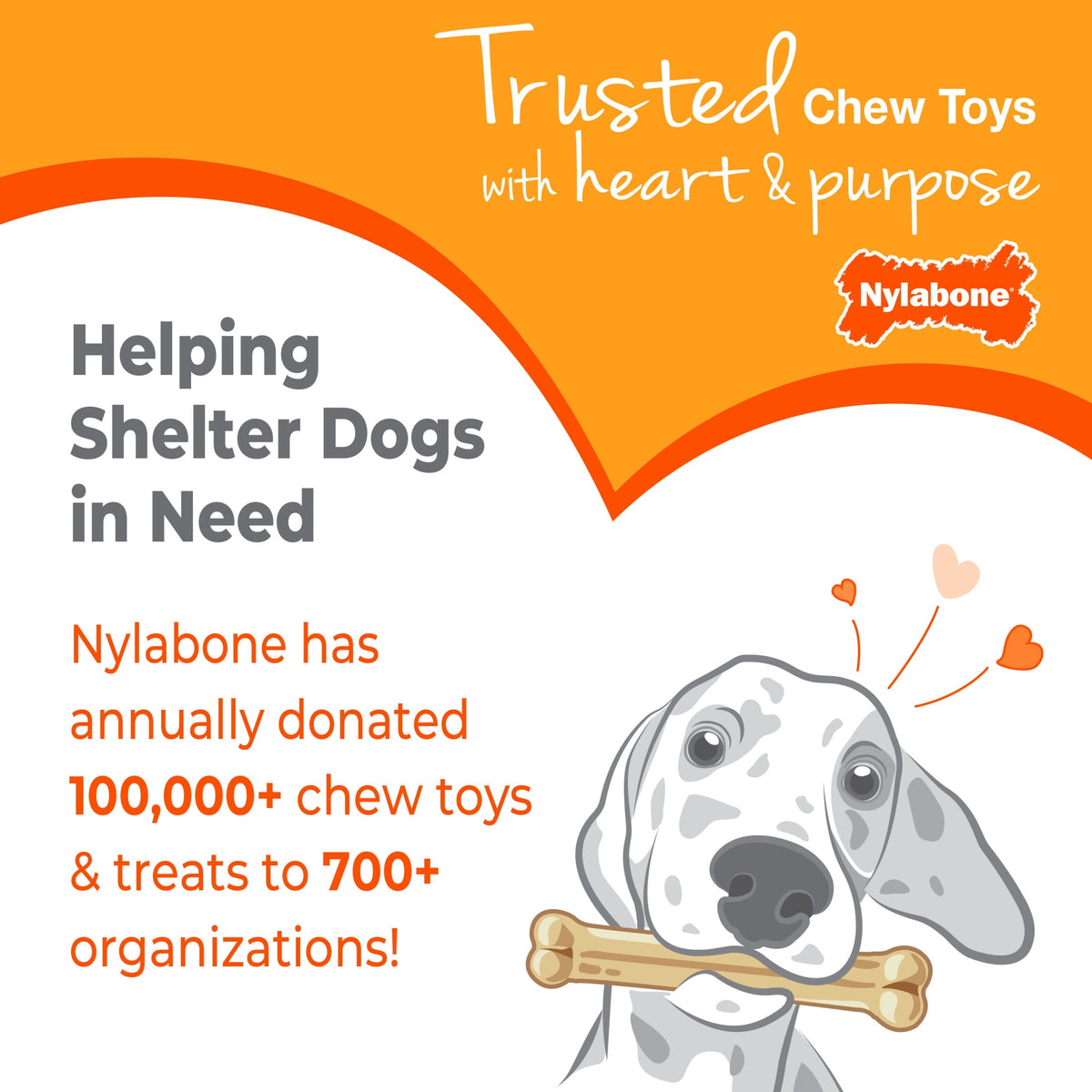 Nylabone Strong Chew Double Action Bone Dog Toy, Dog Chew Toy, Steak & Potato Flavor, Large, 1 Count