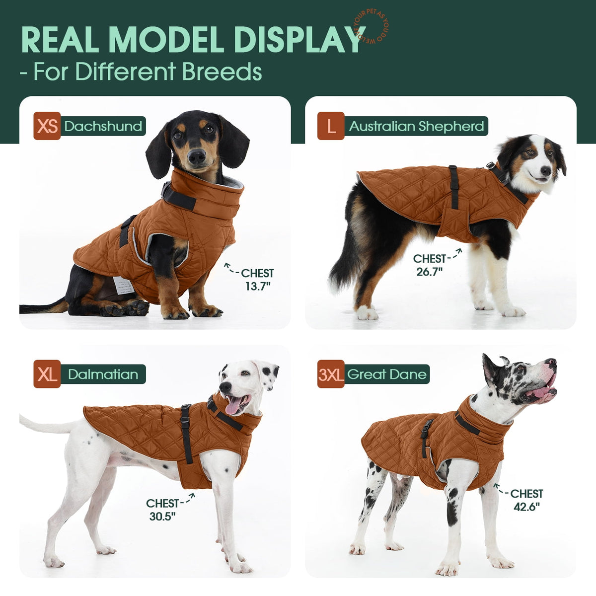 Kuoser Dog Winter Coat Warm Reflective Pet Jacket Waterproof Cold Weather Clothes for Dogs, Gray, M